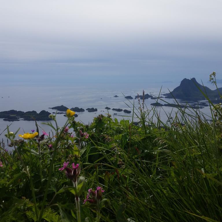 Lofotbo Villa Stamsund Eksteriør billede